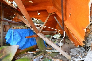 Abandoned Shed