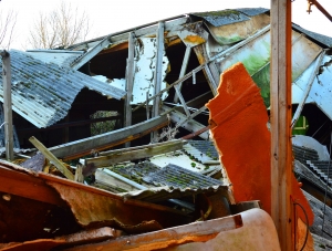 Abandoned Shed