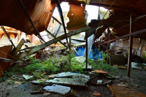 Abandoned Shed