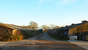 Abandoned Shed