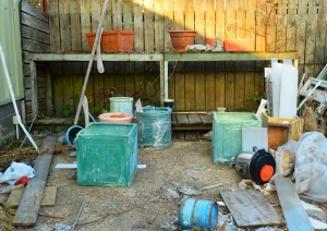 Abandoned Shed
