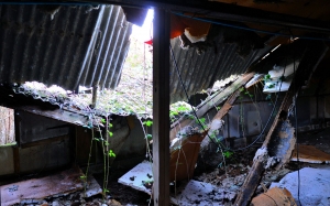 Abandoned Shed