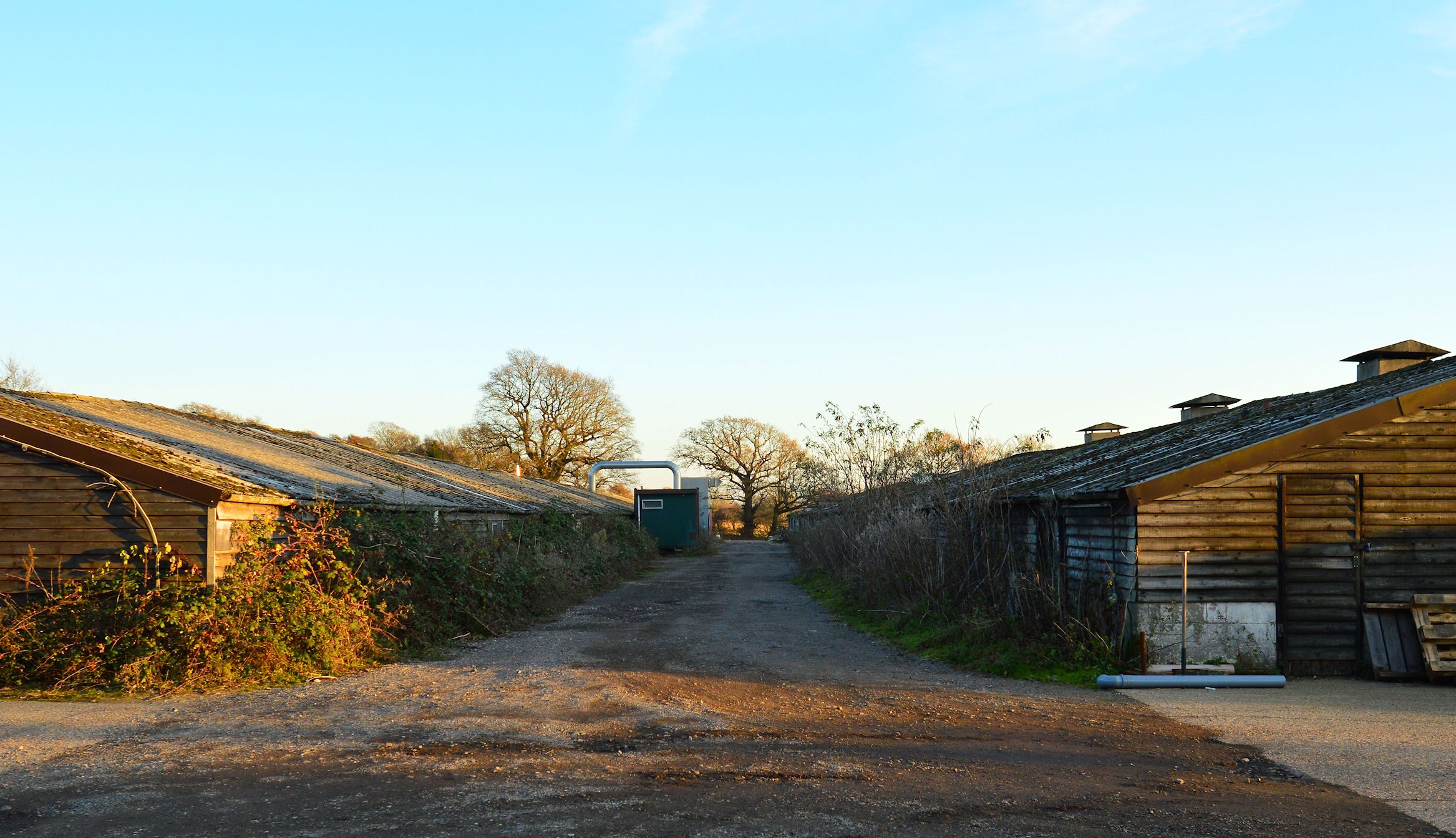 Abandoned Shed