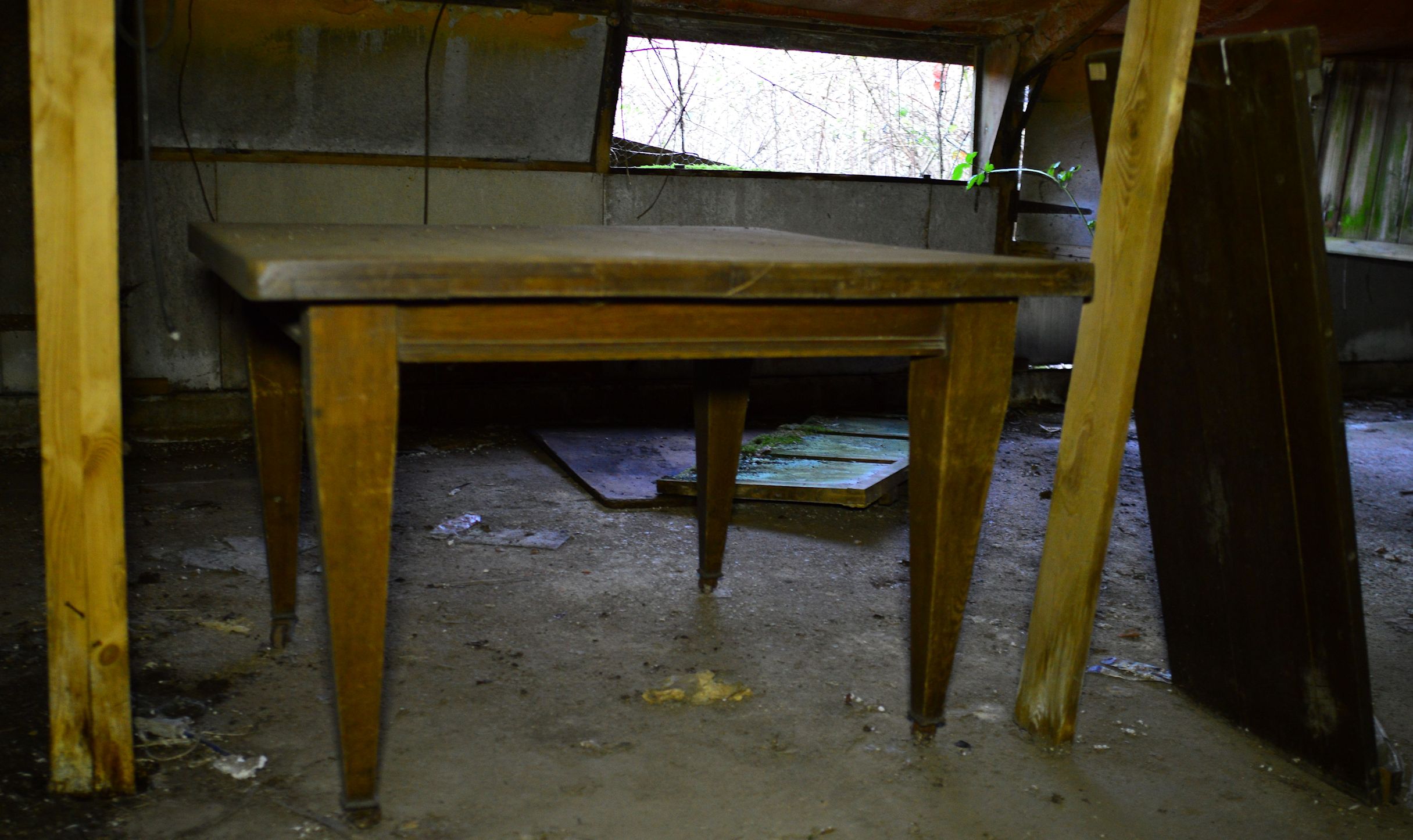 Abandoned Shed