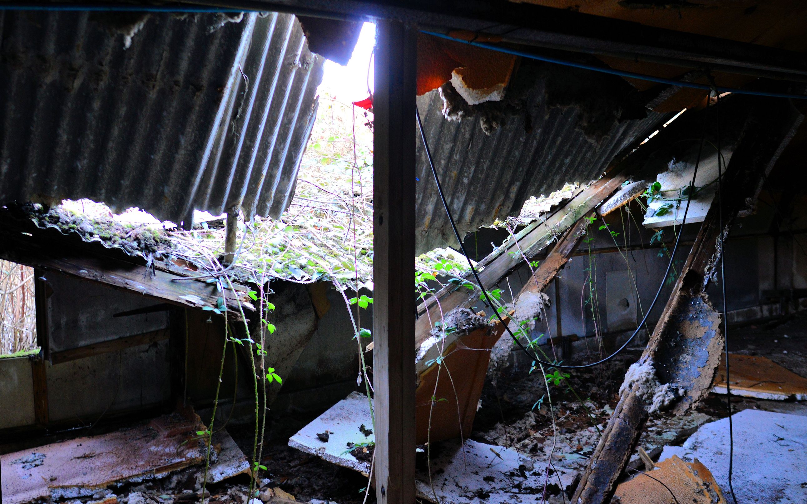 Abandoned Shed
