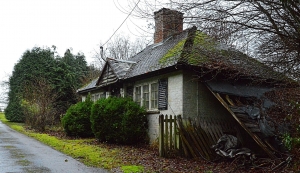 Abandoned Bungalow