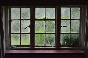 Abandoned Bungalow