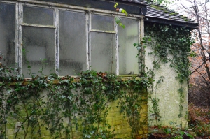 Abandoned Bungalow