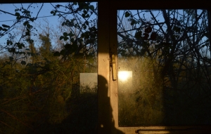 Derelict House