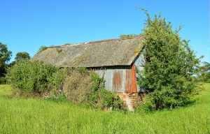Abandoned Farm