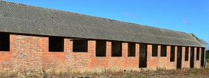 Abandoned Farm