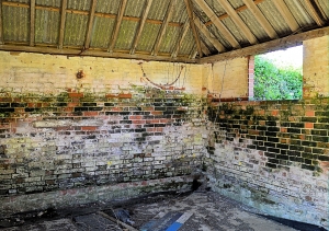 Abandoned Farm