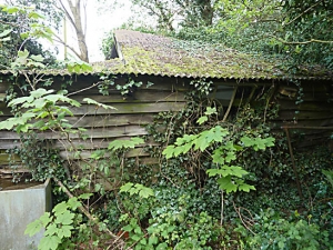 Derelict Sawmill