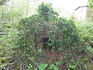 Derelict Sawmill