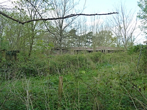 Derelict Sawmill