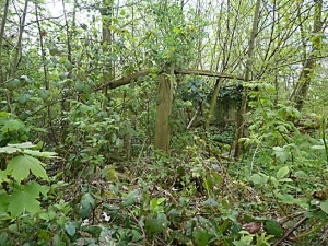 Derelict Sawmill