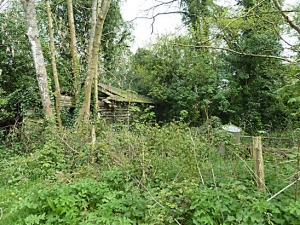 Derelict Sawmill