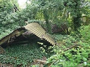 Derelict Sawmill