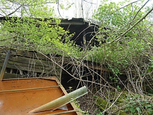 Derelict Sawmill
