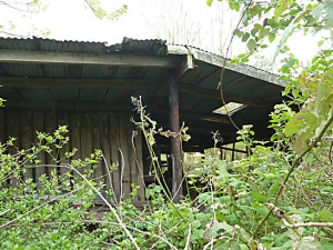 Derelict Sawmill