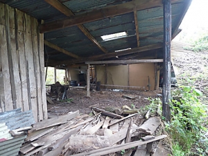 Derelict Sawmill