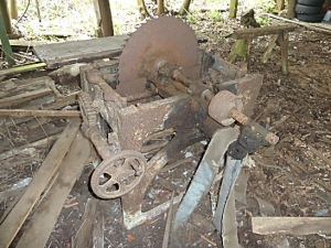Derelict Sawmill