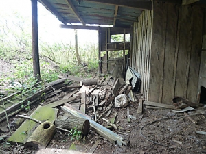 Derelict Sawmill