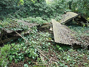 Derelict Sawmill