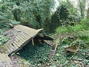 Derelict Sawmill