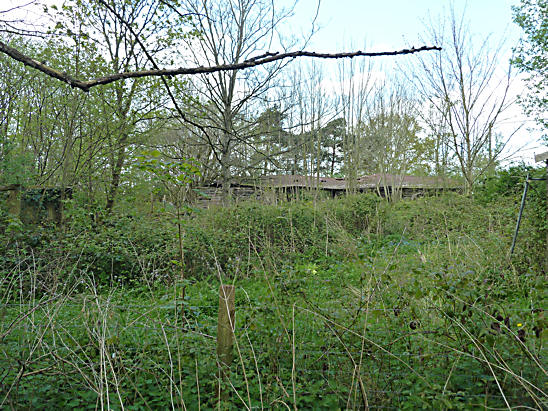 Derelict Sawmill