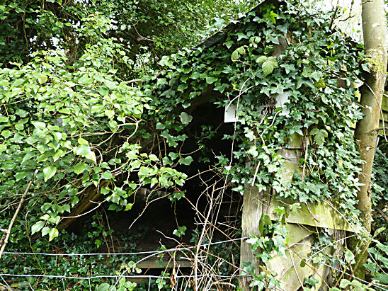 Derelict Sawmill