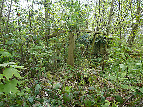 Derelict Sawmill