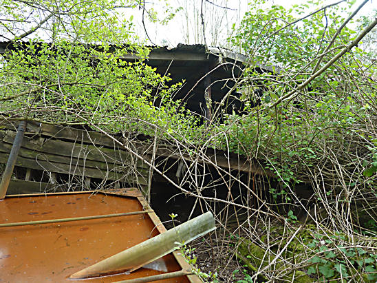Derelict Sawmill