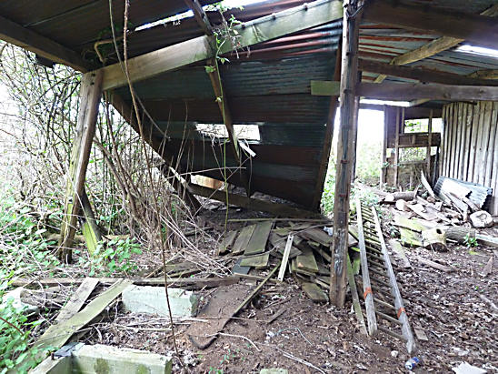 Derelict Sawmill