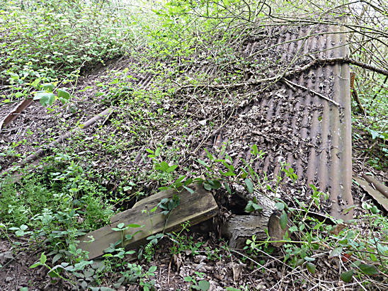 Derelict Sawmill