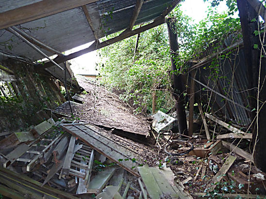 Derelict Sawmill