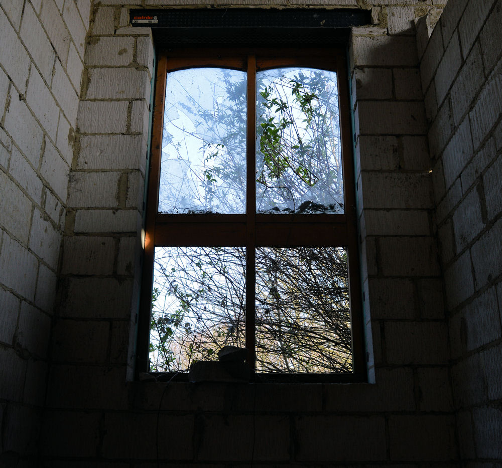 Abandoned House