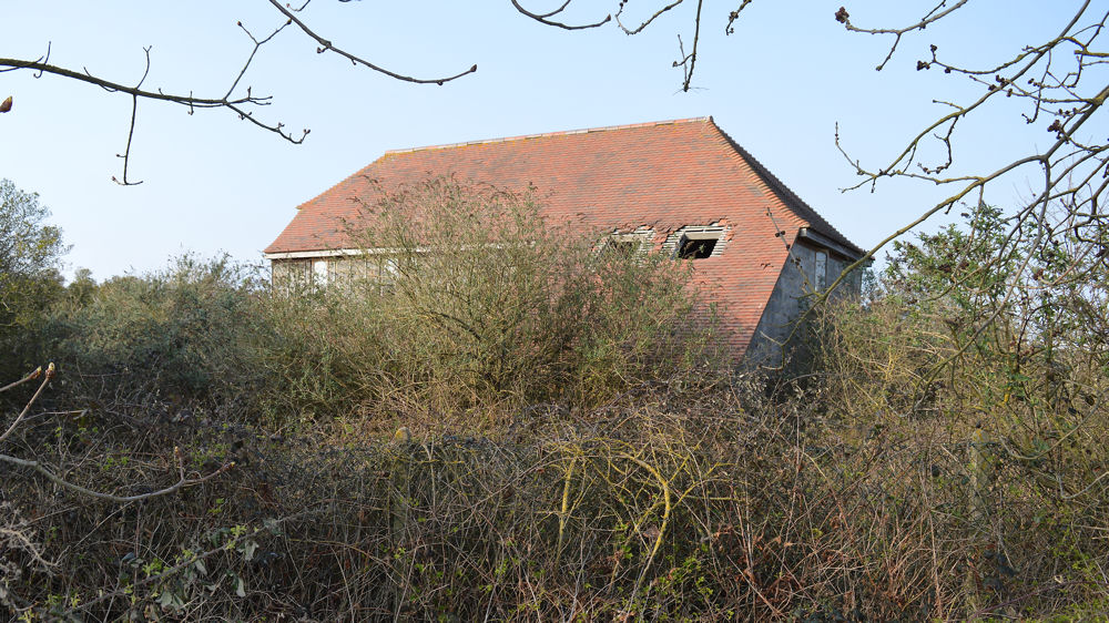 Abandoned House