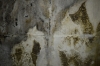 Derelict Building