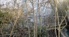 Chalk Pit