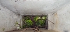 Barcombe Pillbox