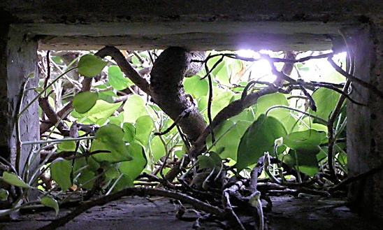 Barcombe Pillbox