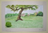 Care Home