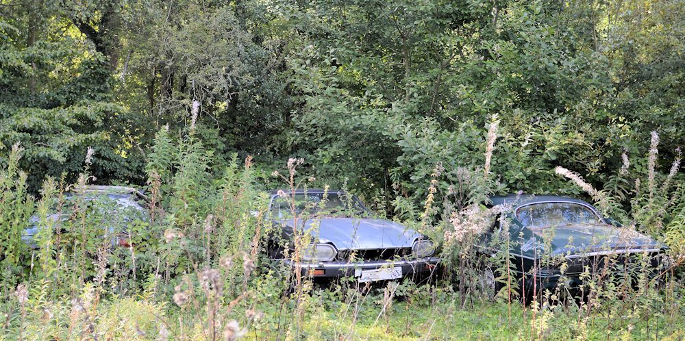 Car Scrapyard