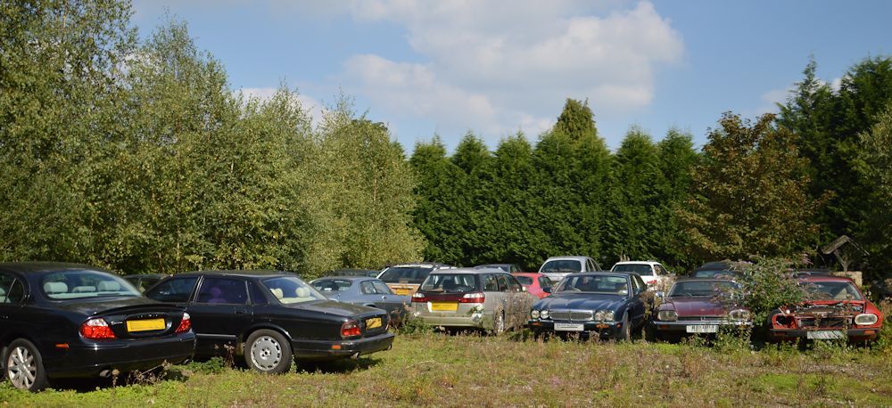 Car Scrapyard