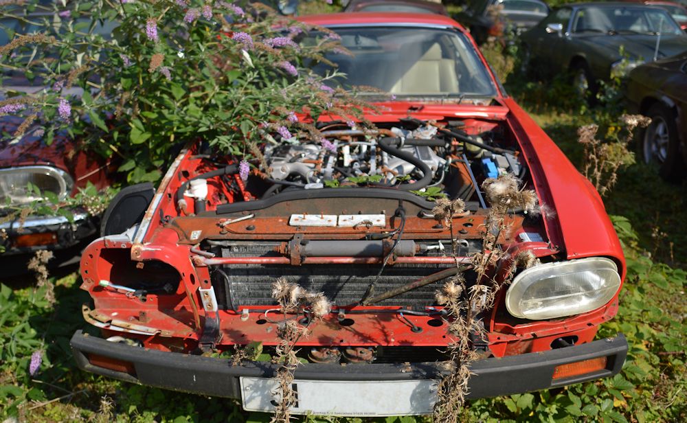 Car Scrapyard