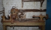 Derelict Factory