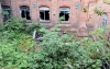 Derelict Factory
