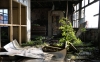 Derelict Factory