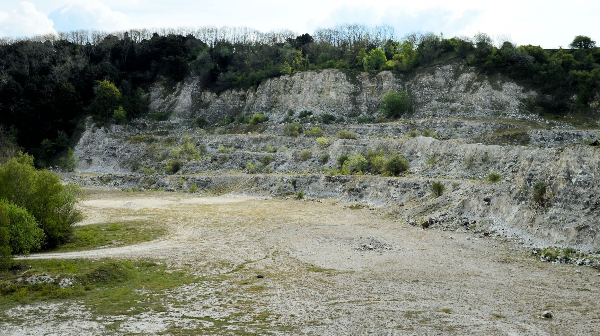 Chalk Quarry